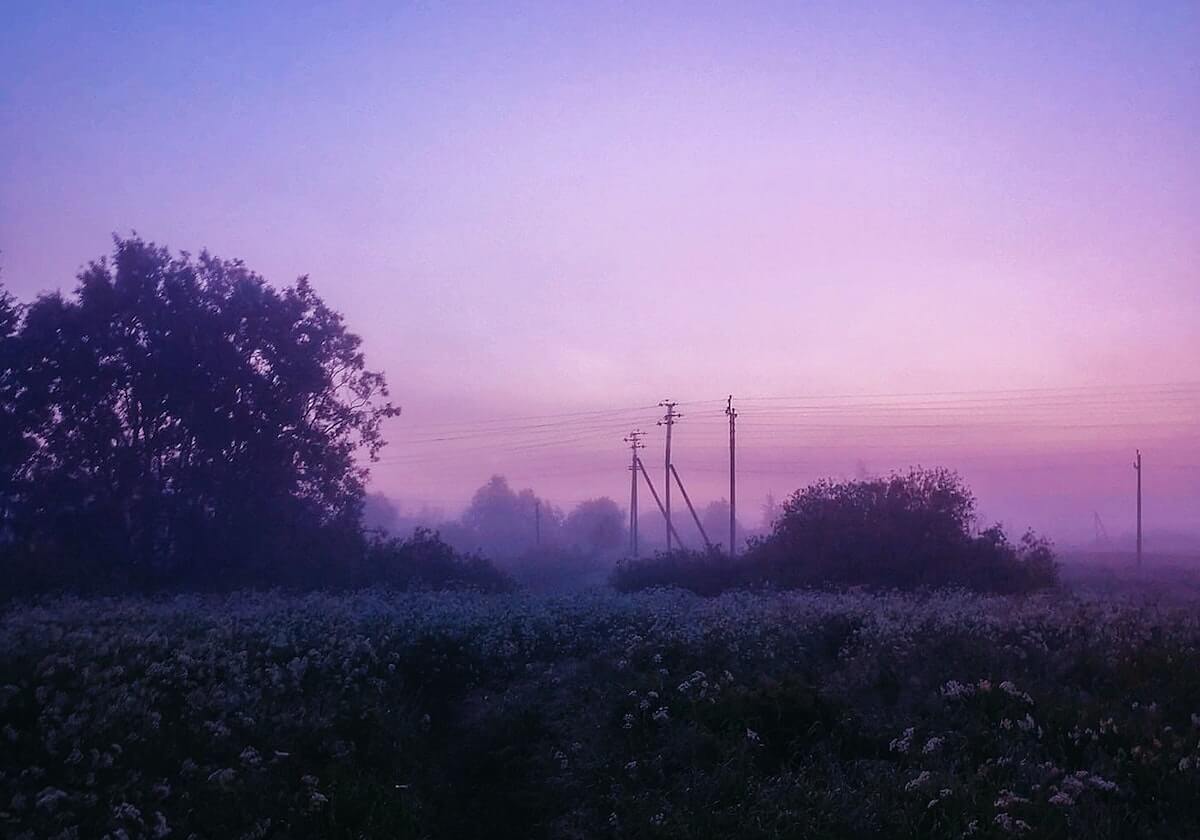 Kai云体育app下载官网：开启你的专业运动新纪元